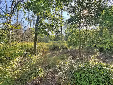 rustig gelegen grond (ca. 1.010 m²) te koop in wuustwezel