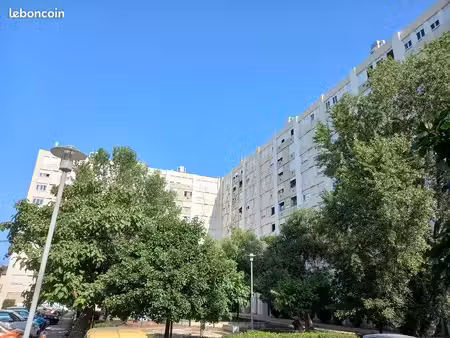 appartement 1 pièce 41 m²