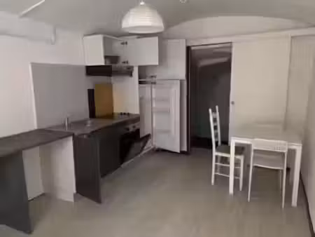 location meublée appartement 1 pièce 31.16 m² à saint-ambroix (30500)  260 €
