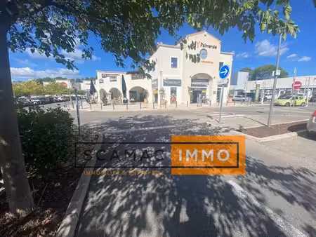 location commerce cabries 13480 434m²