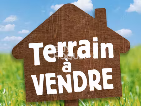 terrain