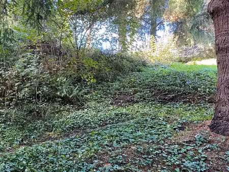 terrain à vendre