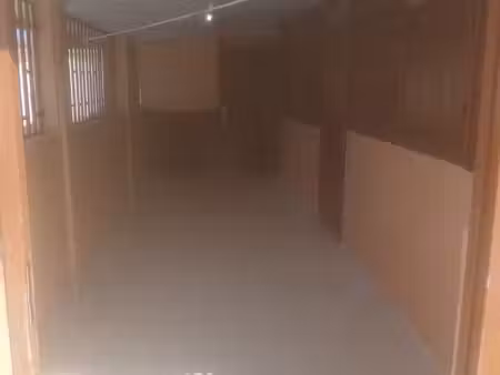 location appartement f2