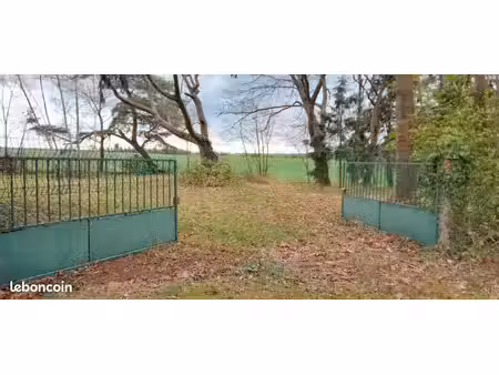 terrain d'agrément arboré