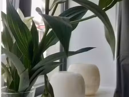 location à l'année - duplex 50m2 au pied du port
