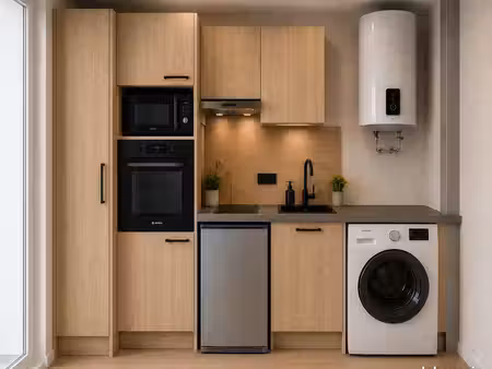 appartement t2 de 29 m² - entièrement rénové