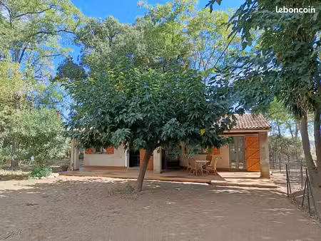 à louer à l’année – charmante maison rénovée avec grand terrain à lucciana
