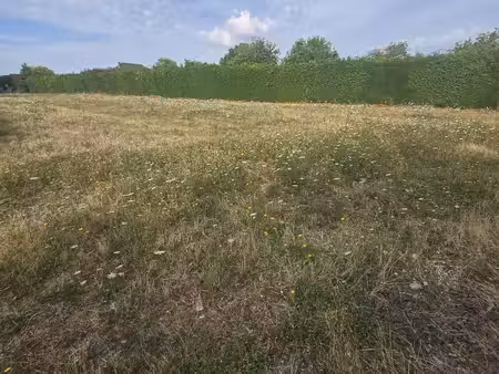 terrain à bâtir 1100m2  plat  réseaux en bordure  trés calme
