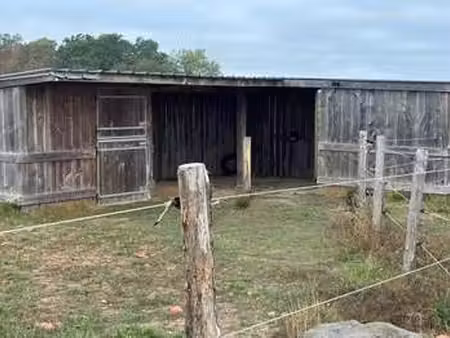 vente terrain au pallet (44330) : à vendre / le pallet