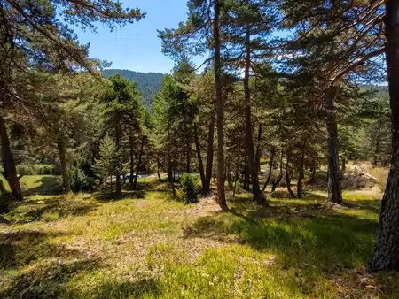 caille - la mouliere - terrain constructible de 2346 m² – tr?