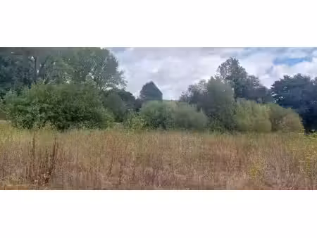 terrain constructible viabilisé à vendre
