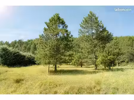 terrain 10509 m² serres