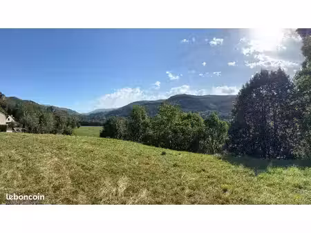 terrain 2 500 m² vic sur cere