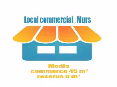 murs commerciaux - 45m ²