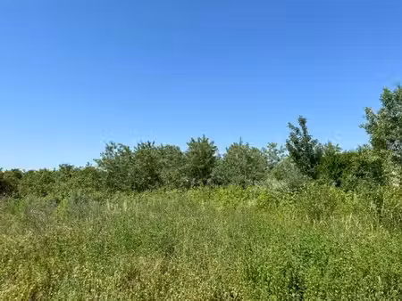 wittelsheim – nouveau lotissement – terrain à bâtir de 423 m²