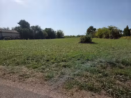 vente terrain  2006.00m²  puymiclan