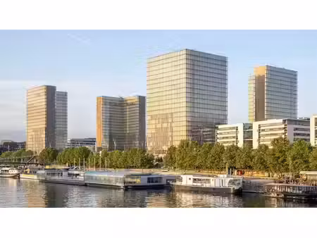 location commerce paris 75013 375m²