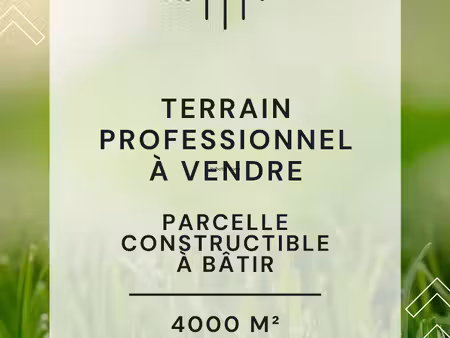 terrain commercial