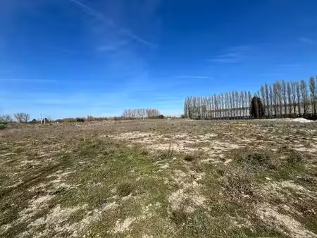 terrain de 10000 m2 en vente - dunkerque  hauts-de-france