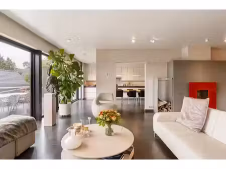 commercieel te koop in meise met 4 slaapkamers