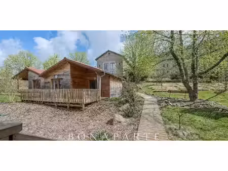 propriété saint-régis-du-coin (42)
