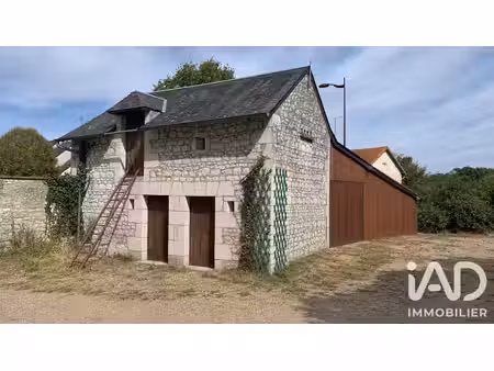 maison à la celle-saint-avant (37160)
