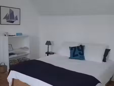 location appartement 1 pièce 20 m² à treffiagat (29730)