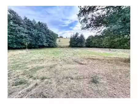 terrain à vendre à rue cresse des nutons en face 49 bertogne (vbe64311)