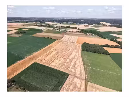 terrain agricole à vendre à eyckenhoek holsbeek (rbw85469)
