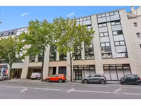 achat local professionnel 235m²