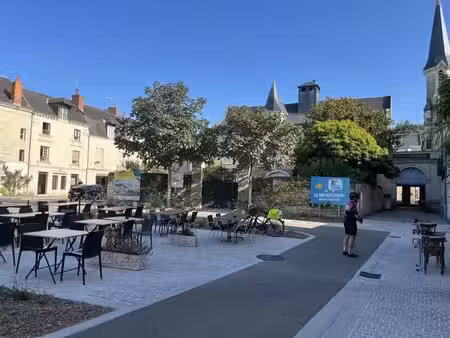 vente commerce chinon 37500 81m²