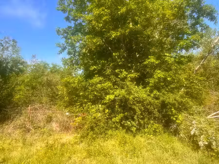 terrains nature avec fort potentiel