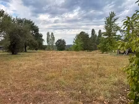 terrain
