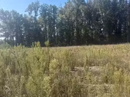 vente terrain 4300 m² chamadelle (33230)