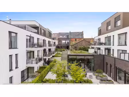 appartement te huur in meise met 1 slaapkamer