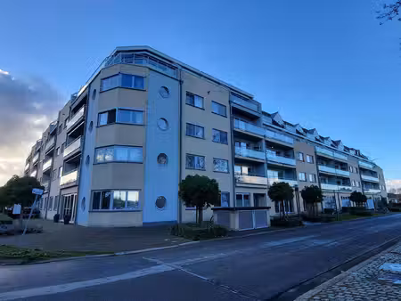 appartement te huur in willebroek met 1 slaapkamer