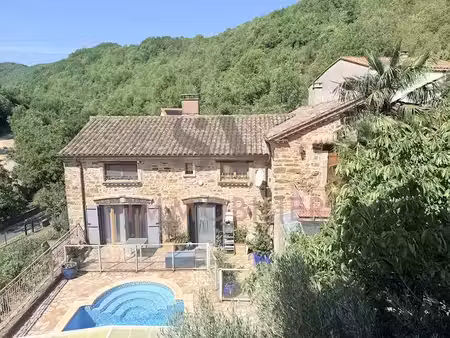 vente propriété 21 pièces 370 m² à avène (34260)  639 600 €