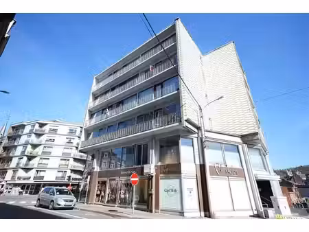 appartement 1ch.balcon & cave!