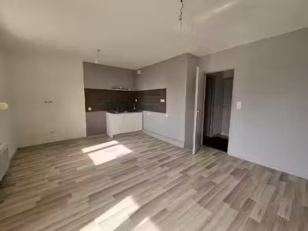 appartement saone 1 pièce(s) 43 m2
