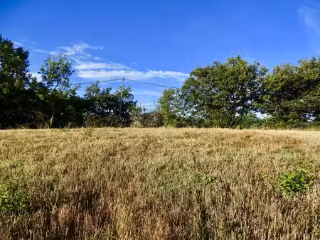 terrain