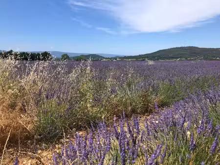 dpt vaucluse (84)  à vendre rustrel terrain