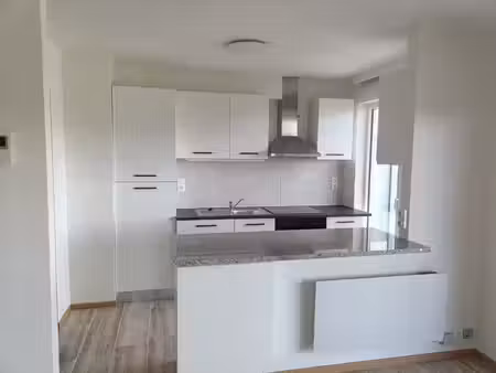 appartement 1 chambre rénové avec terrasse