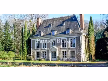 château cellettes (41)