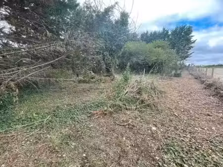 vente terrain 627 m² à muron (17430)  49 000 €