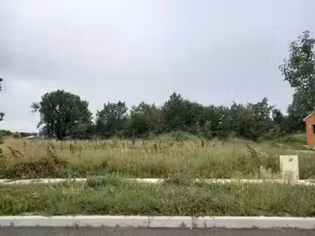 vente terrain 561 m² à montbeton (82290)  51 000 €
