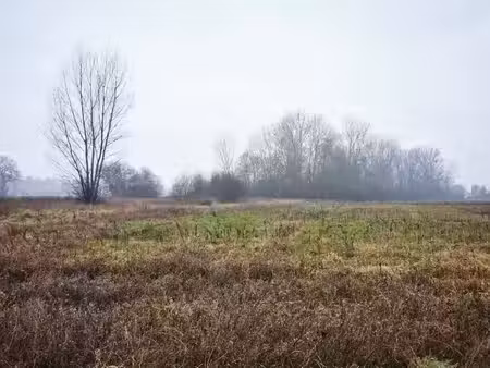 vente terrain 642 m² à viterbe (81220)  51 000 €