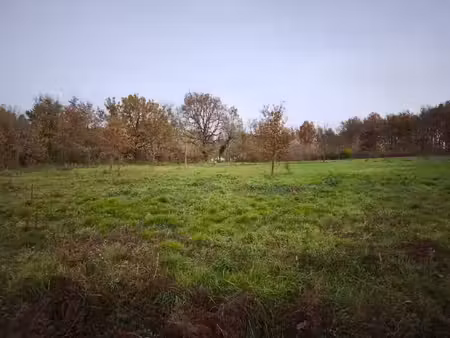 vente terrain 1584 m² à damiatte (81220)  50 000 €