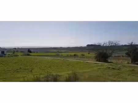 vente terrain 600 m² à pezens (11170)  49 900 €