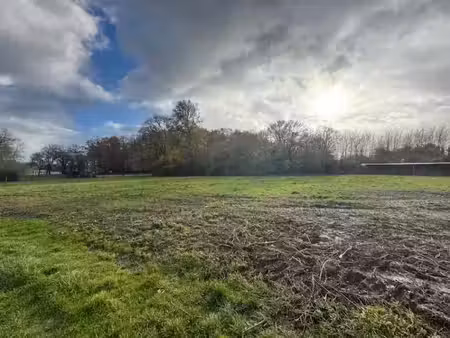 vente terrain 898 m² à blaignan (33340)  60 000 €