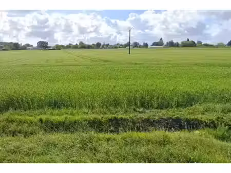 vente terrain 434 m² à grézac (17120)  61 000 €